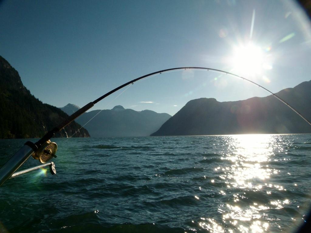 Island Sportfishing Adventures