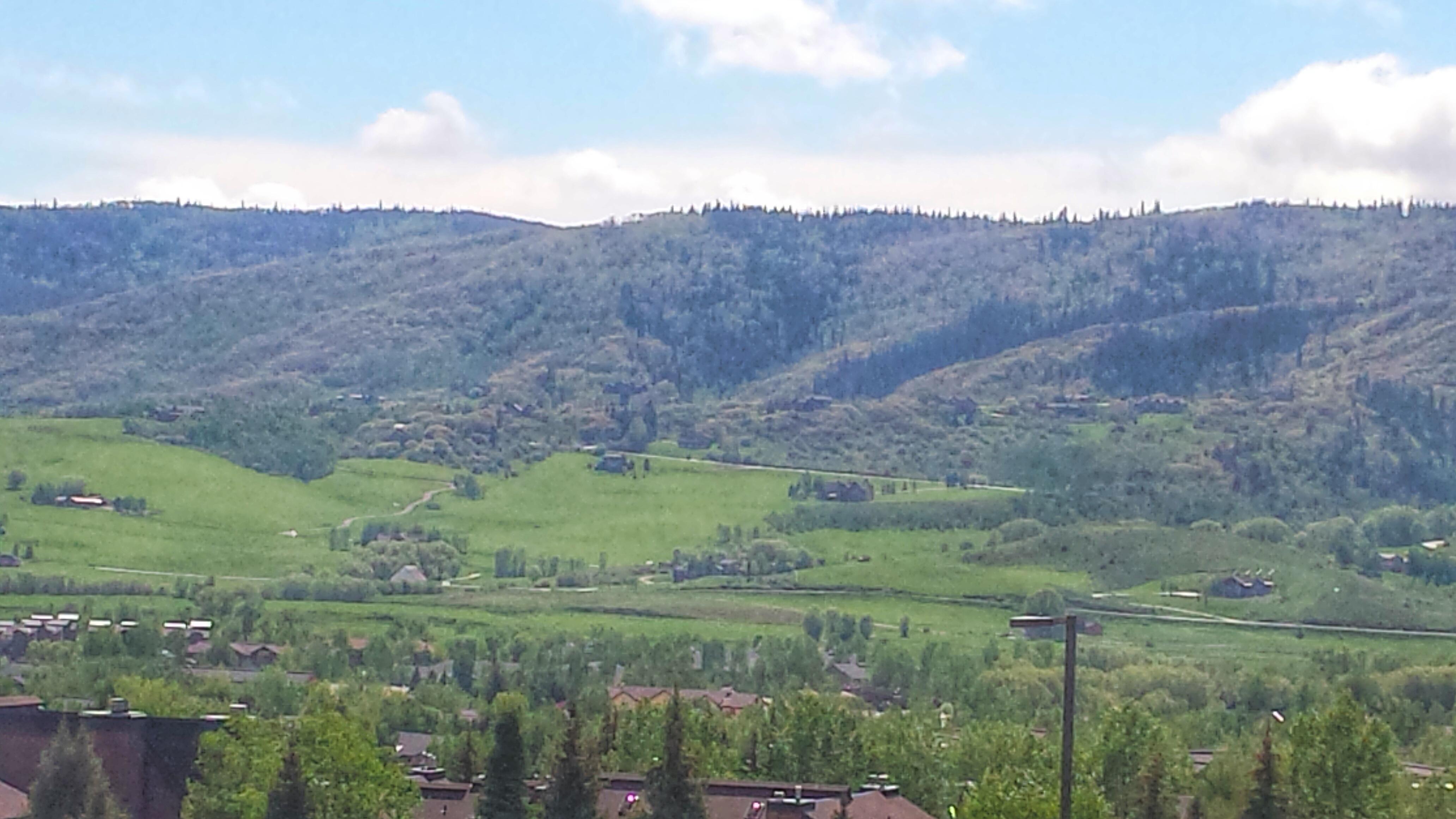 Photo by 465colleens