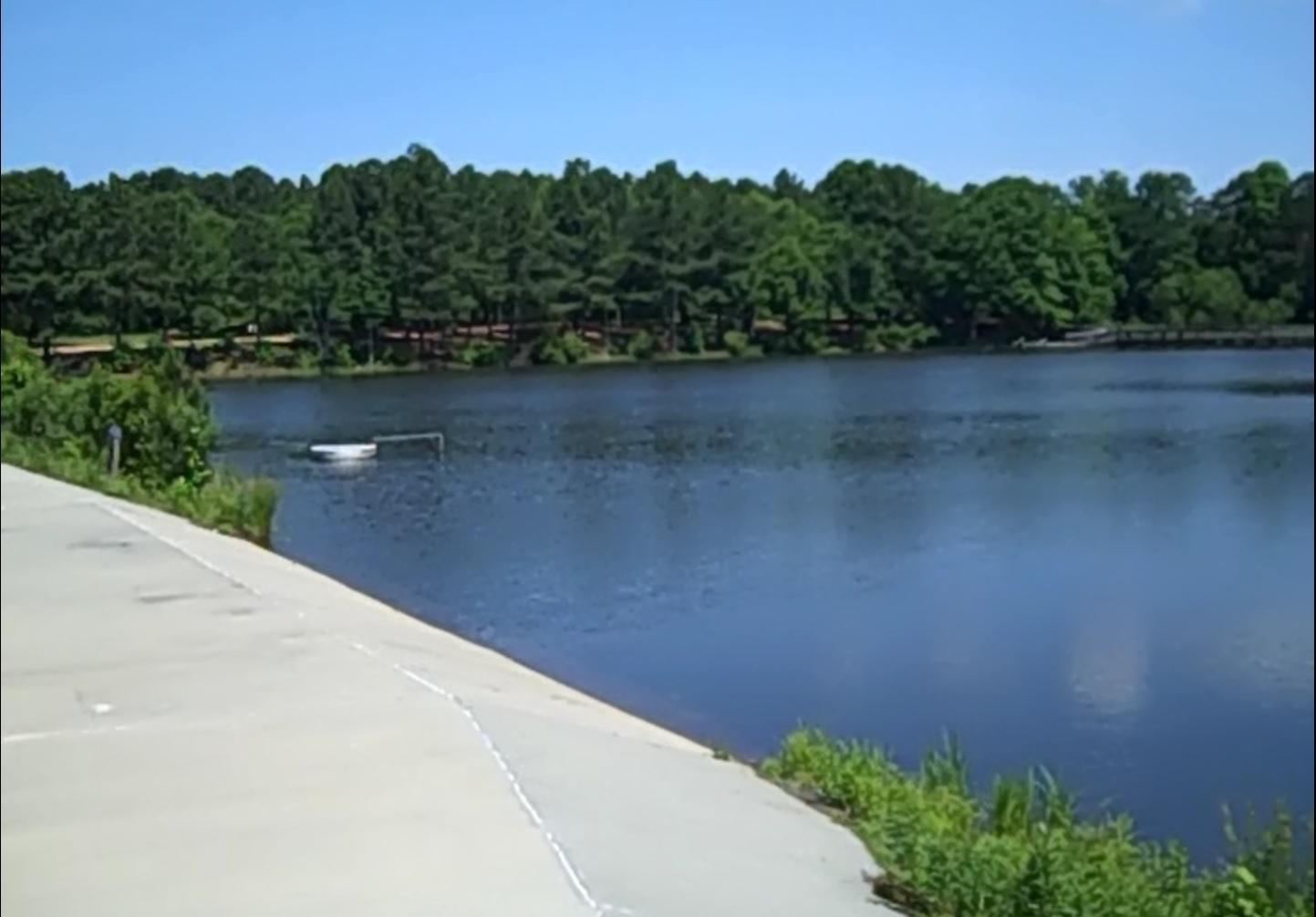 Photo by garbagecollector