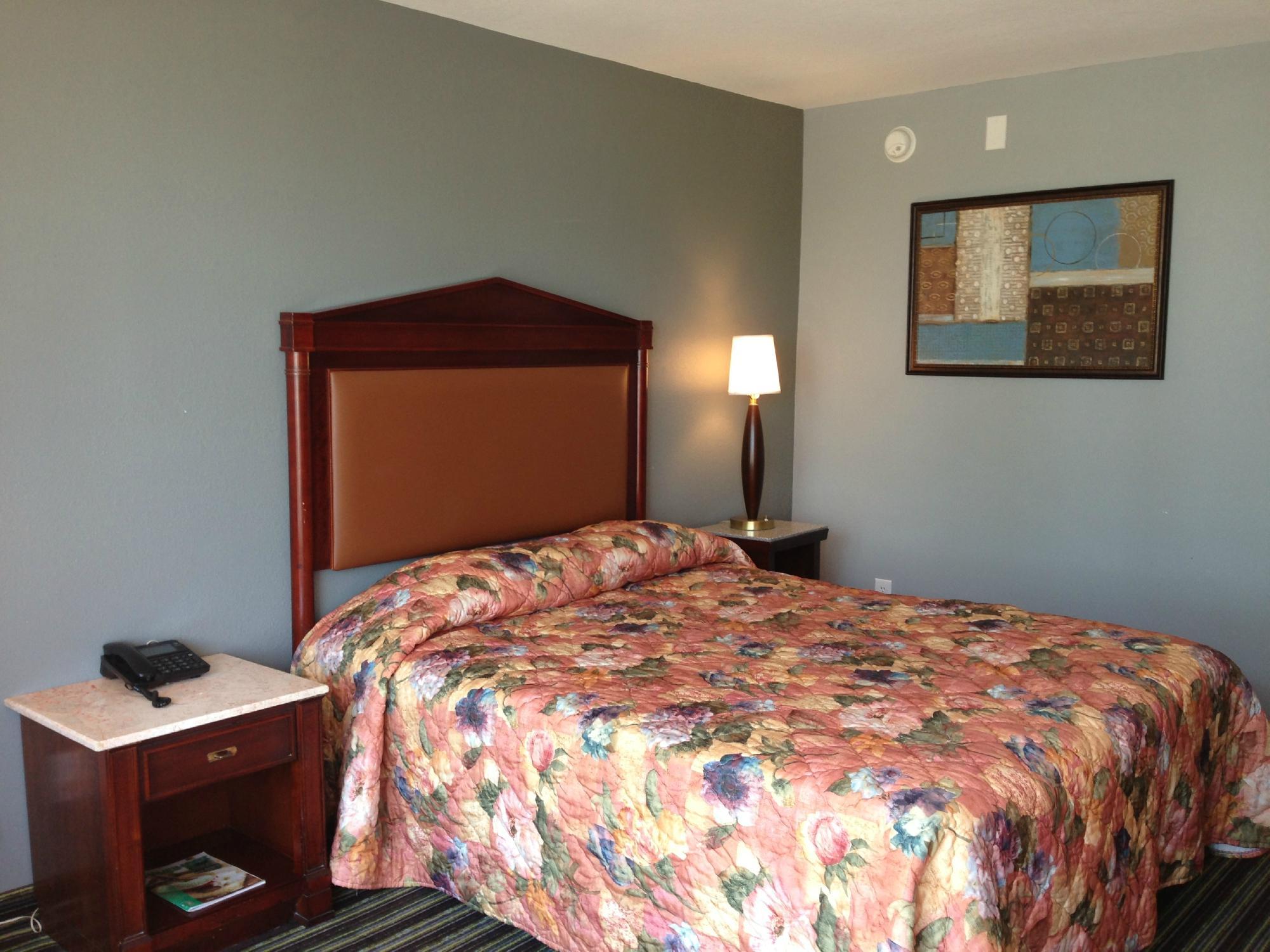 Safari Inn