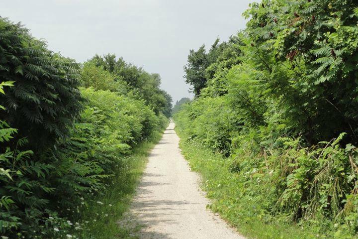 Chrysler Canada Greenway