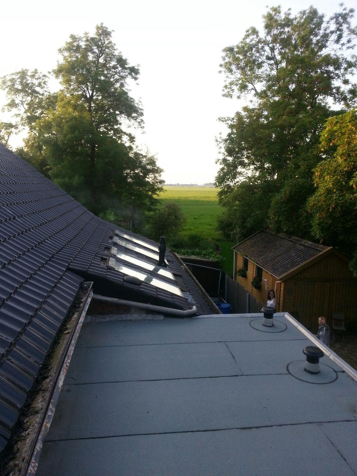 Aap Noot Mies Logies