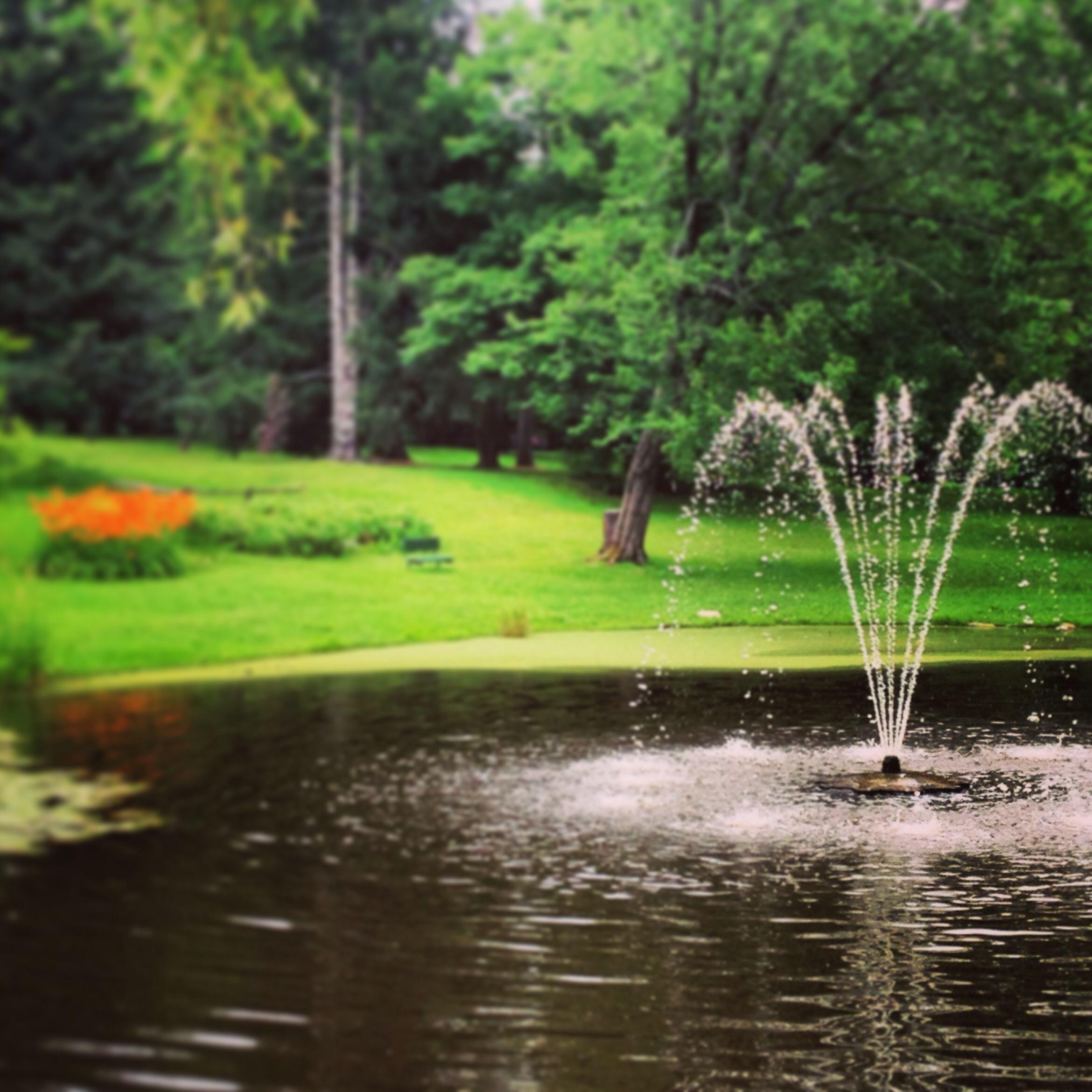 Photo by AprilinMaine