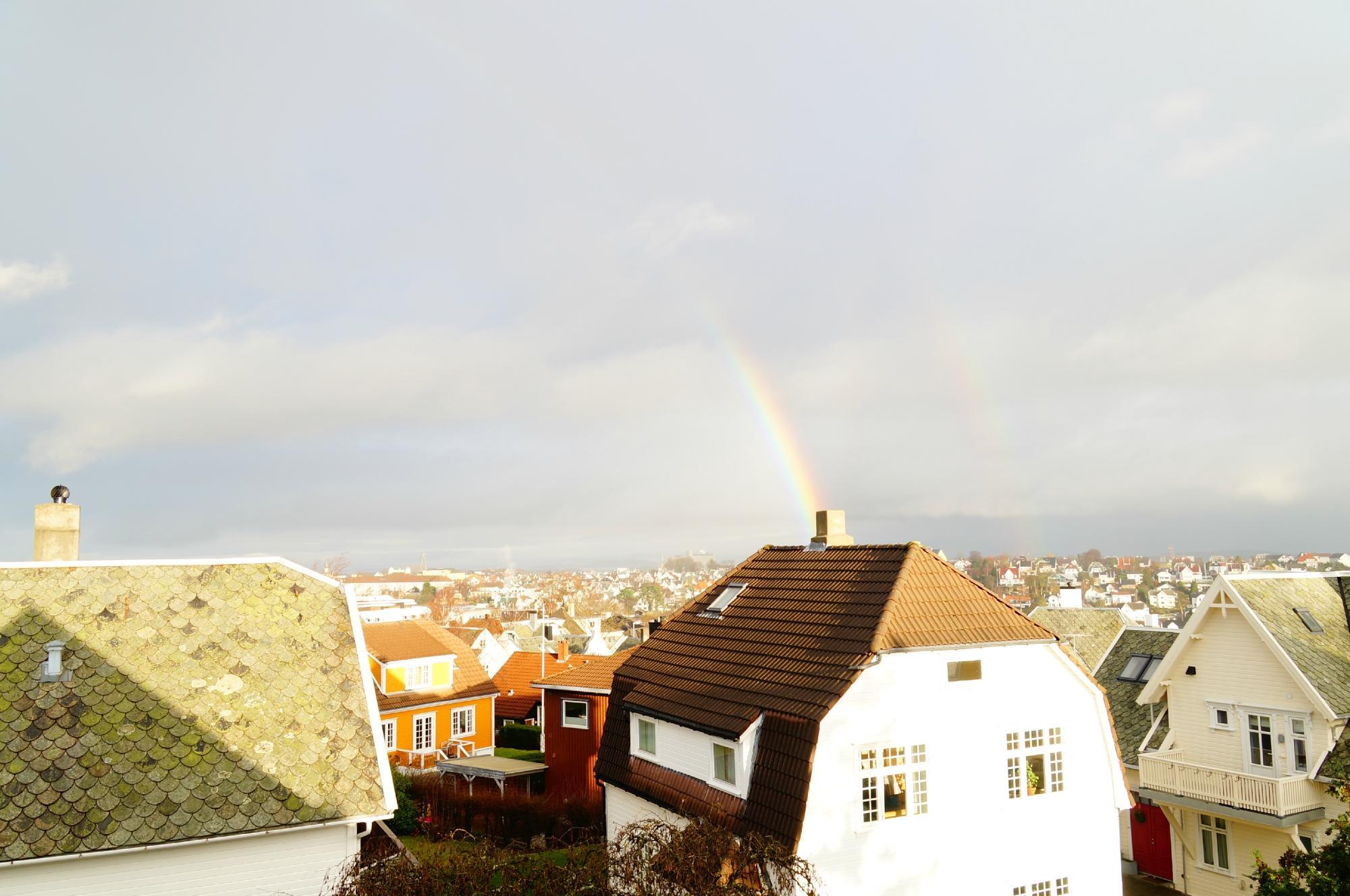 Bed, Books, & Breakfast
