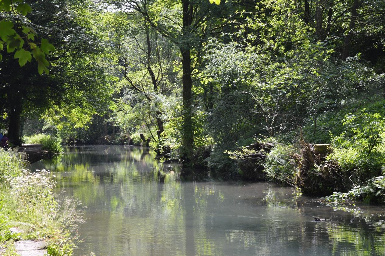 Cromford Canal