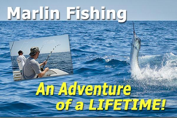 Rebel Sportfishing