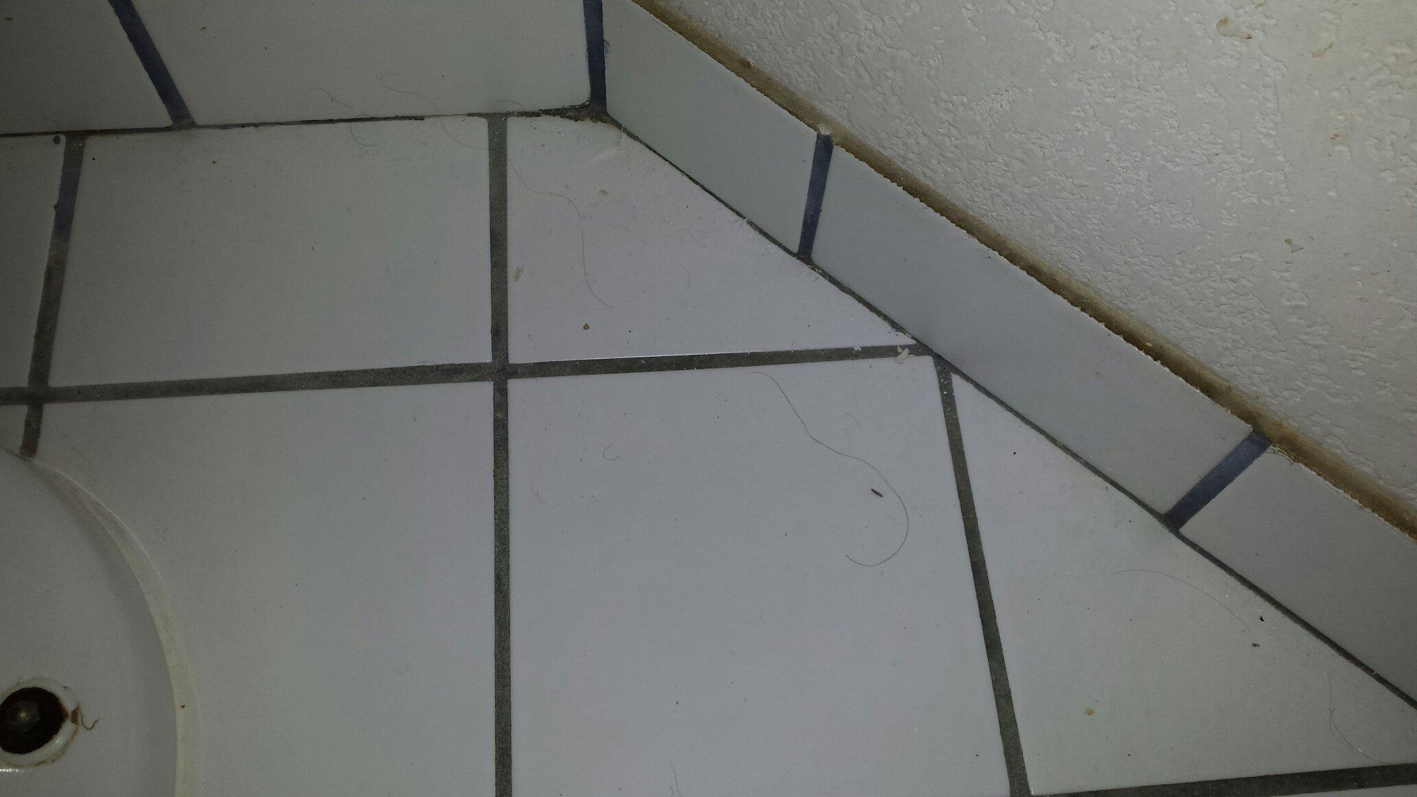 Photo by Neal_Hartman