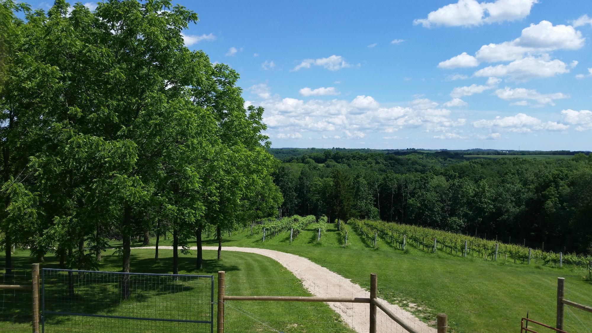 Garvin Heights Vineyards