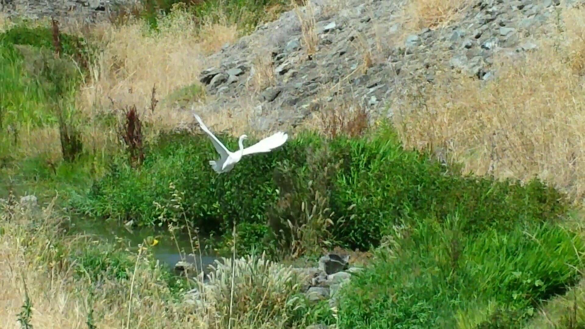 Photo by Lindaofcalifornia