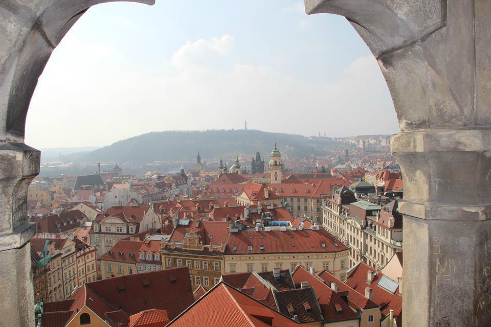 White Umbrella Tours