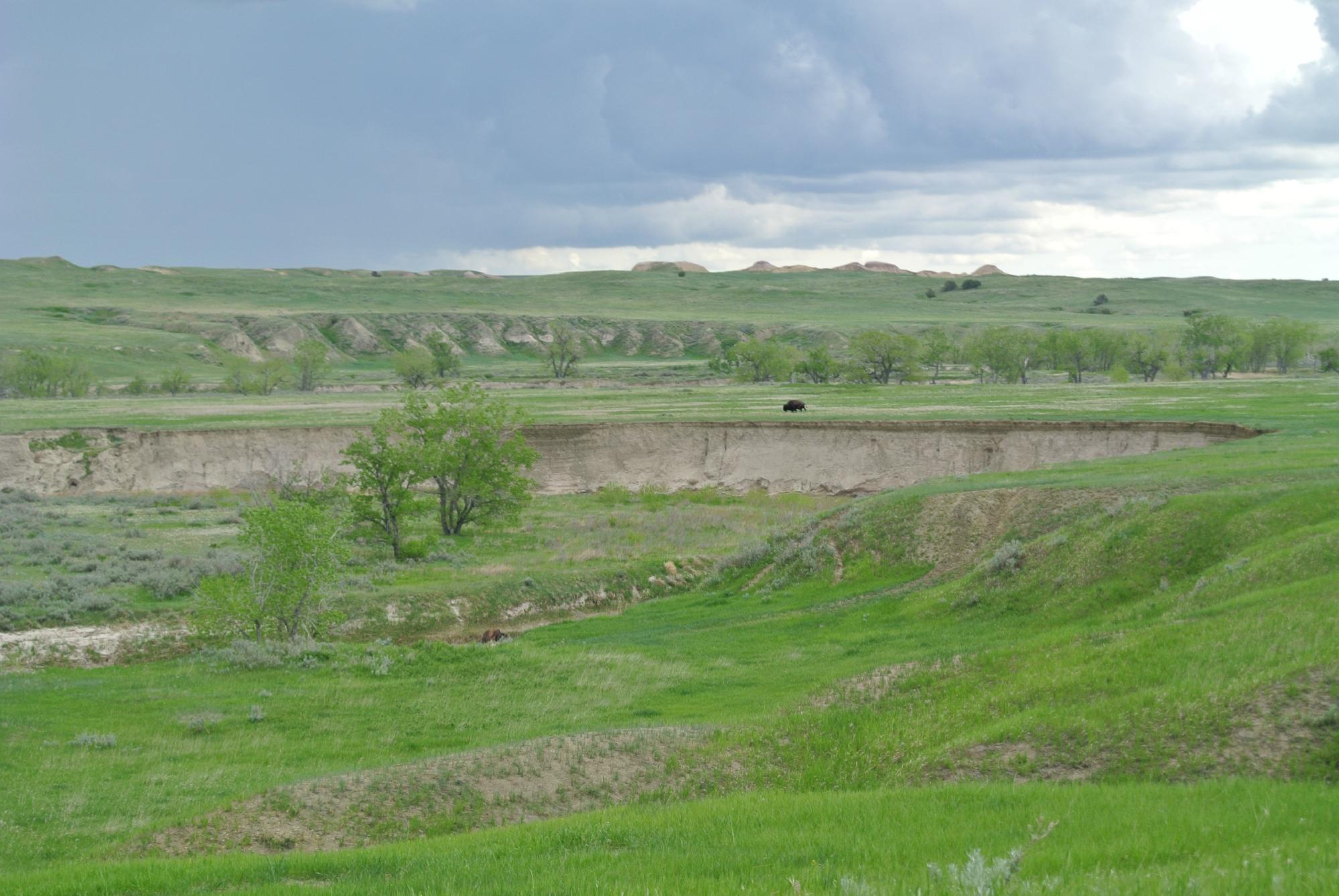 Sage Creek Wilderness Area