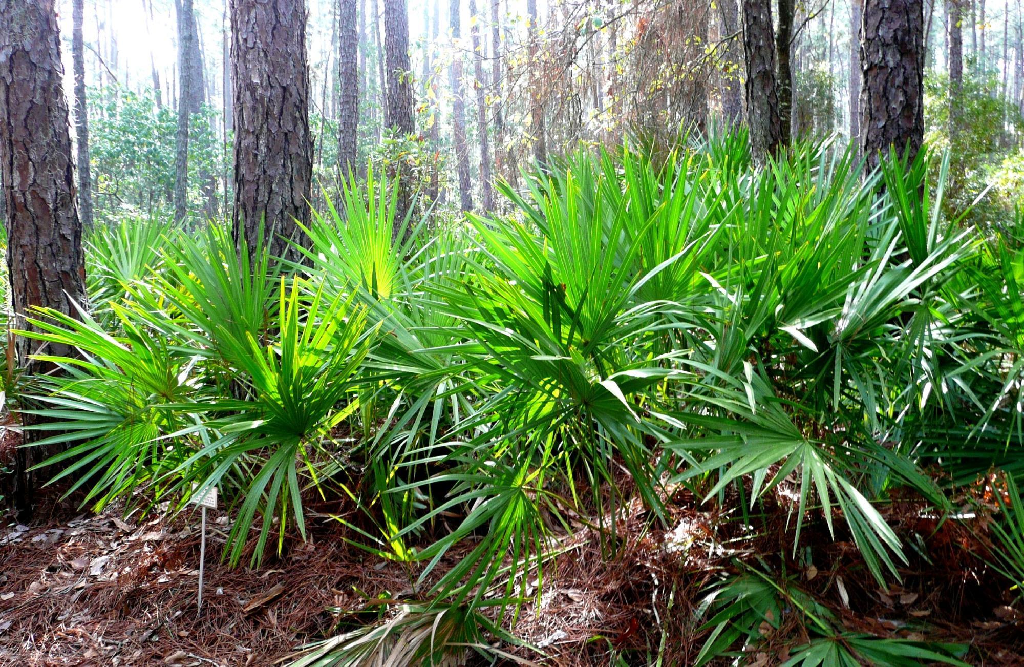 Audubon Newhall Nature Preserve