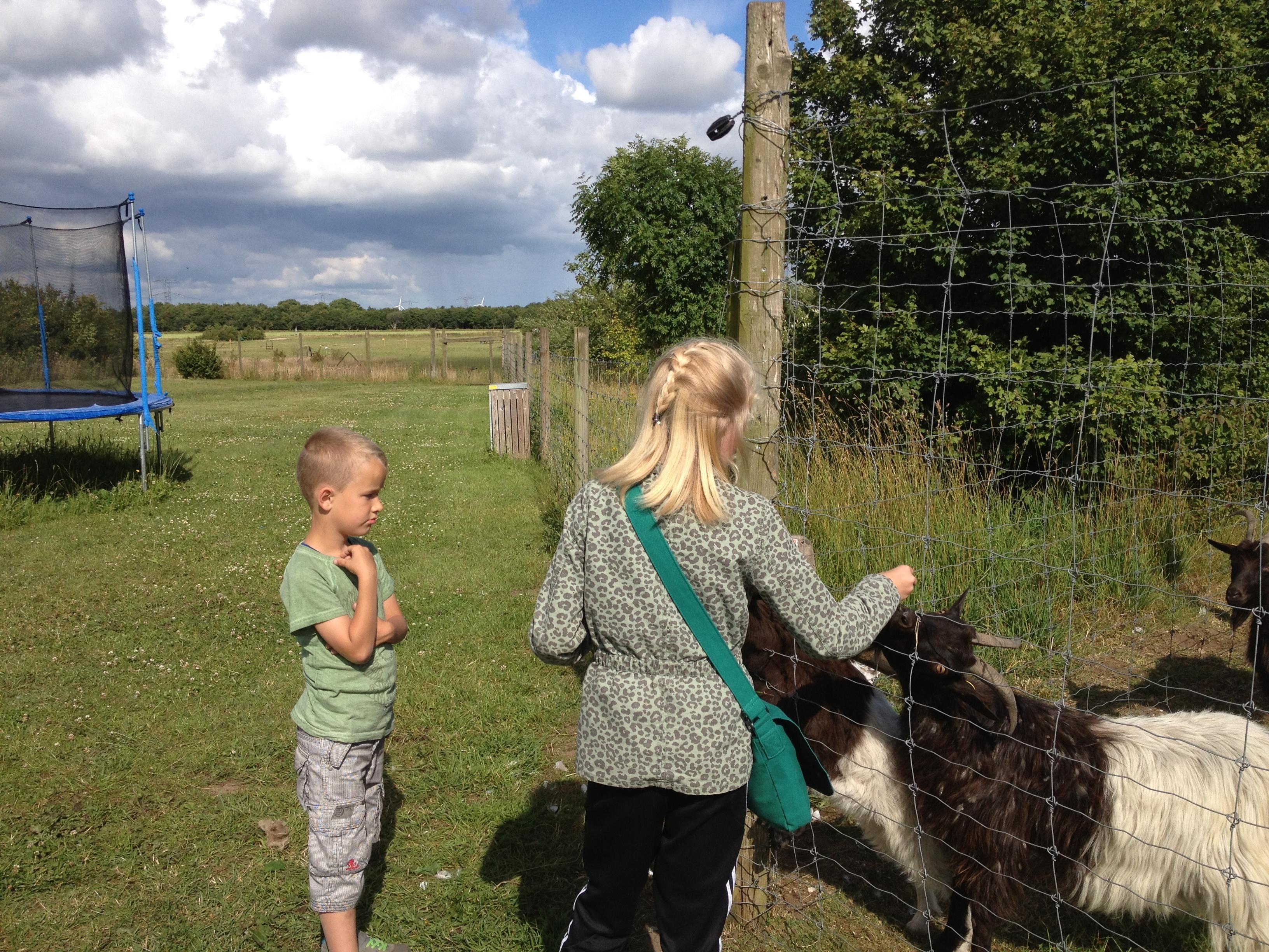 Enghave Dyre Og Naturpark