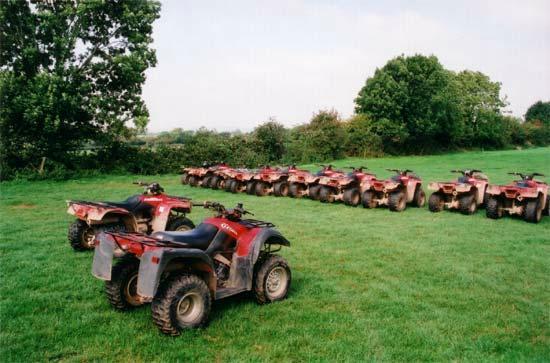 Bridgefield Buggies