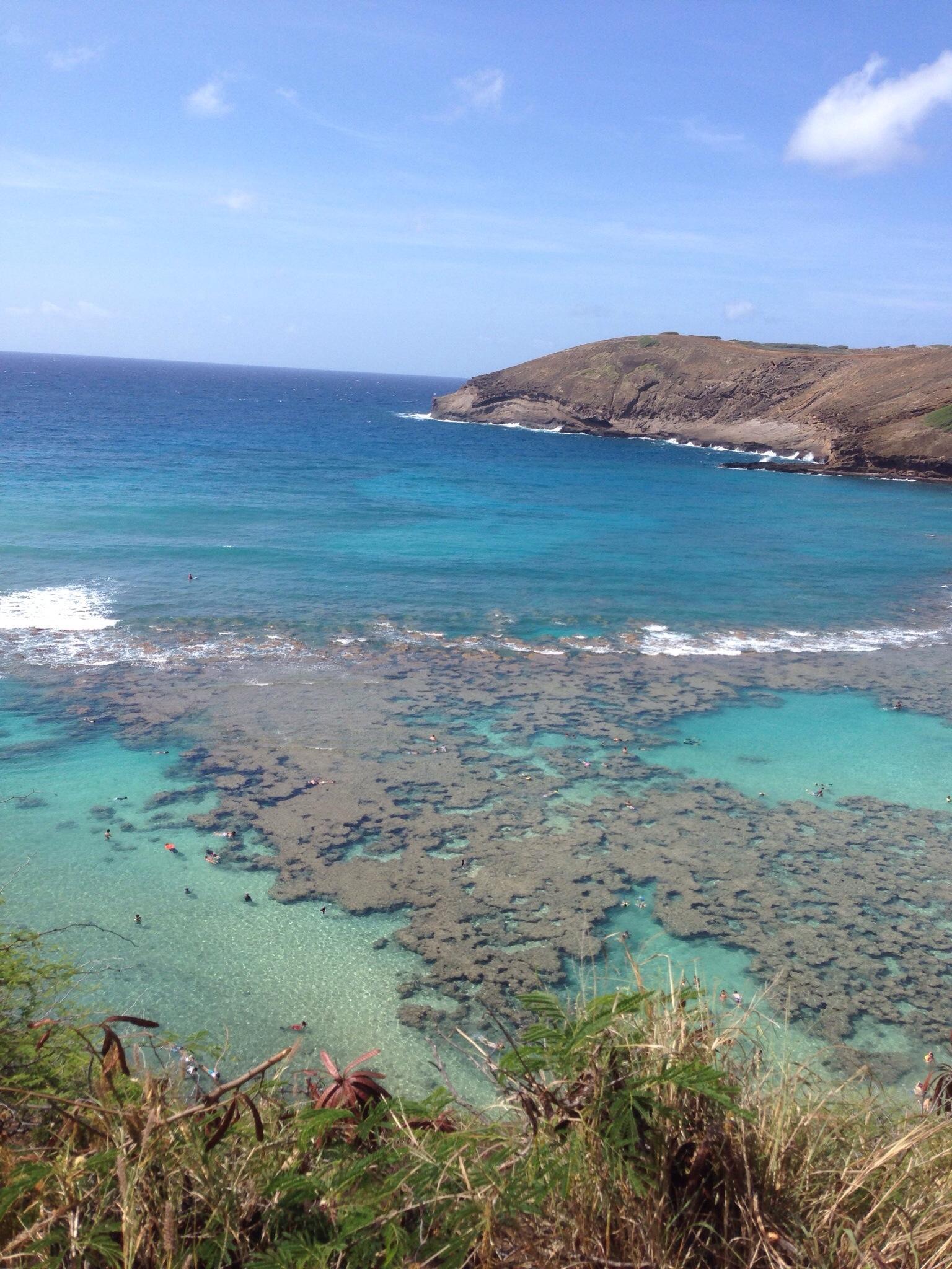 Hanauma Bay Snorkel Adventures