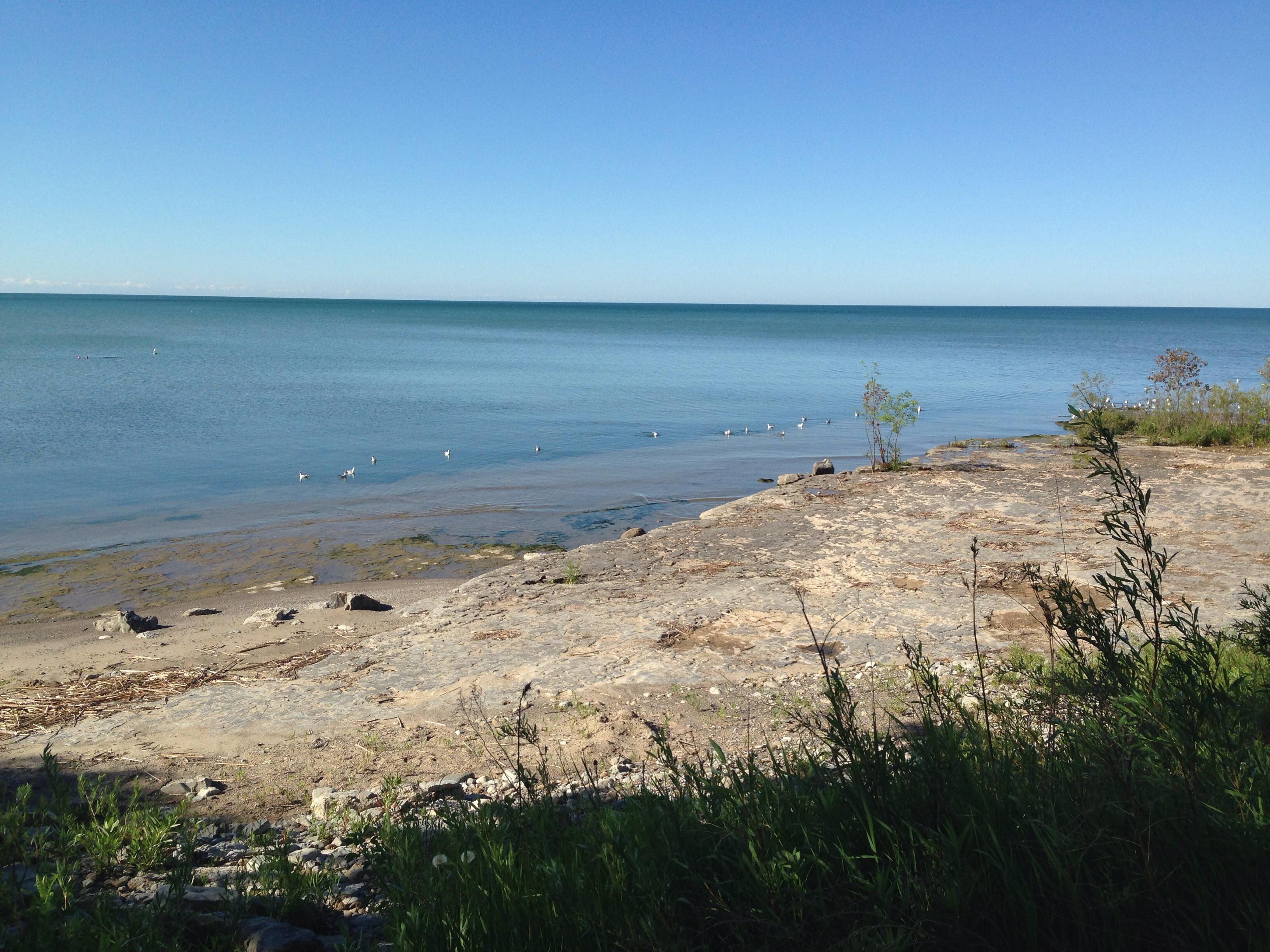 Selkirk Provincial Park