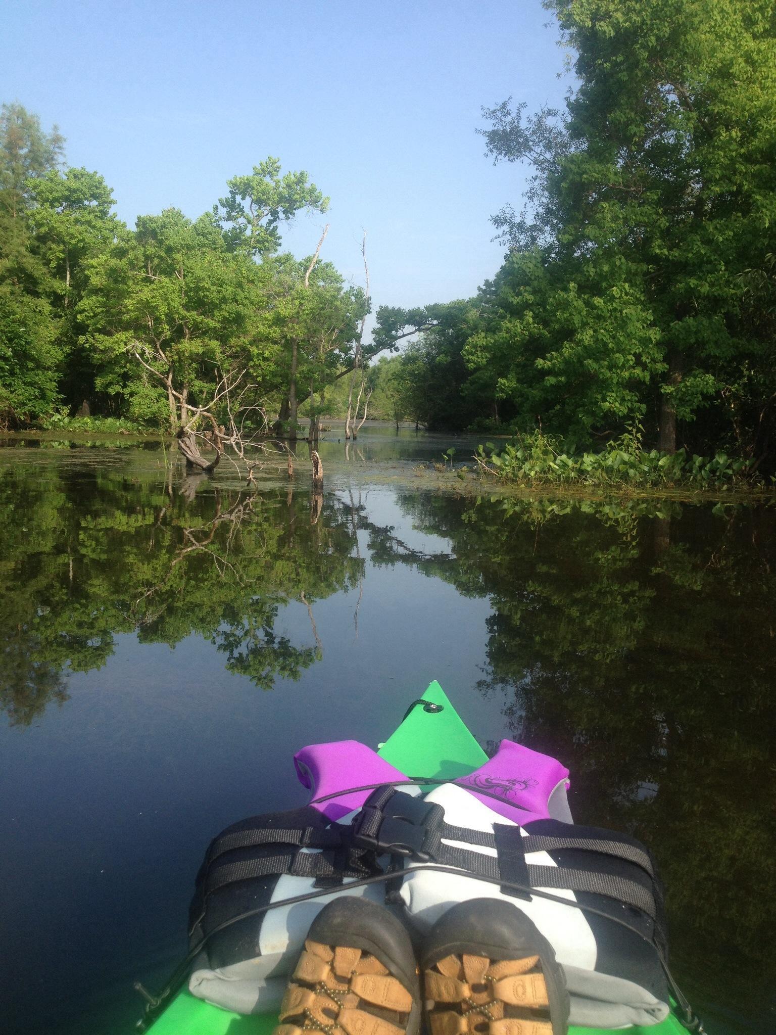 C Bickham Dickson Park