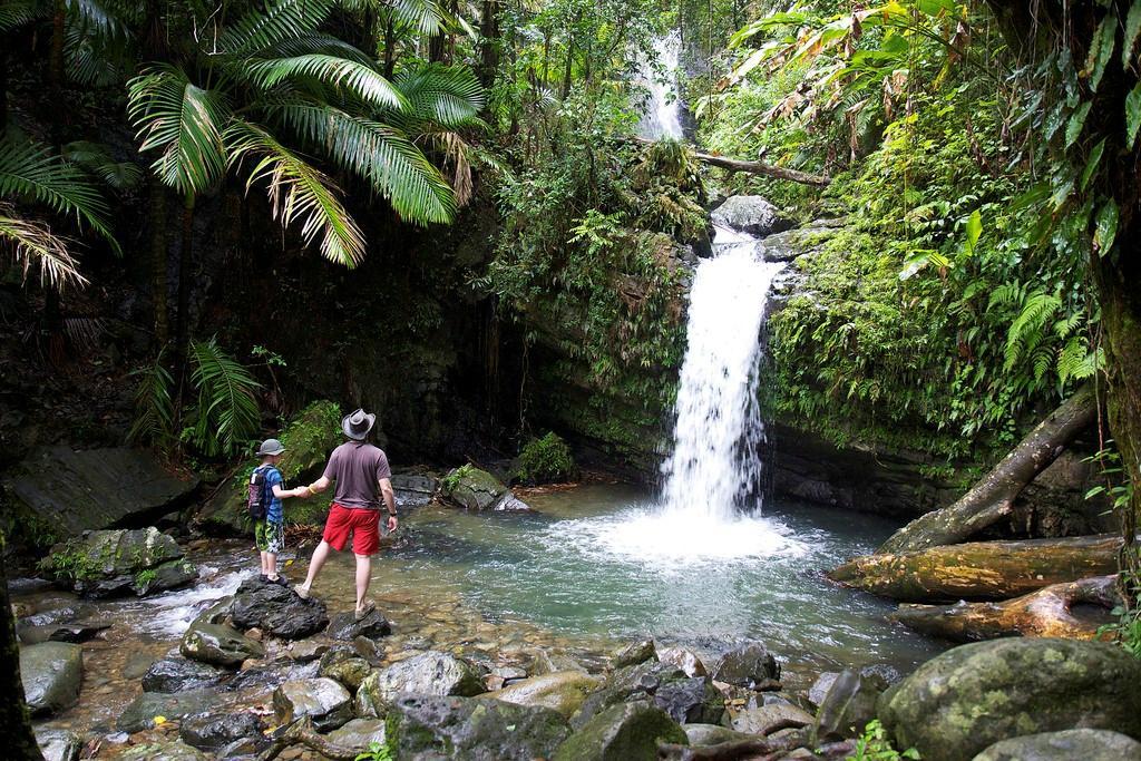 Go Tours Puerto Rico - Tours