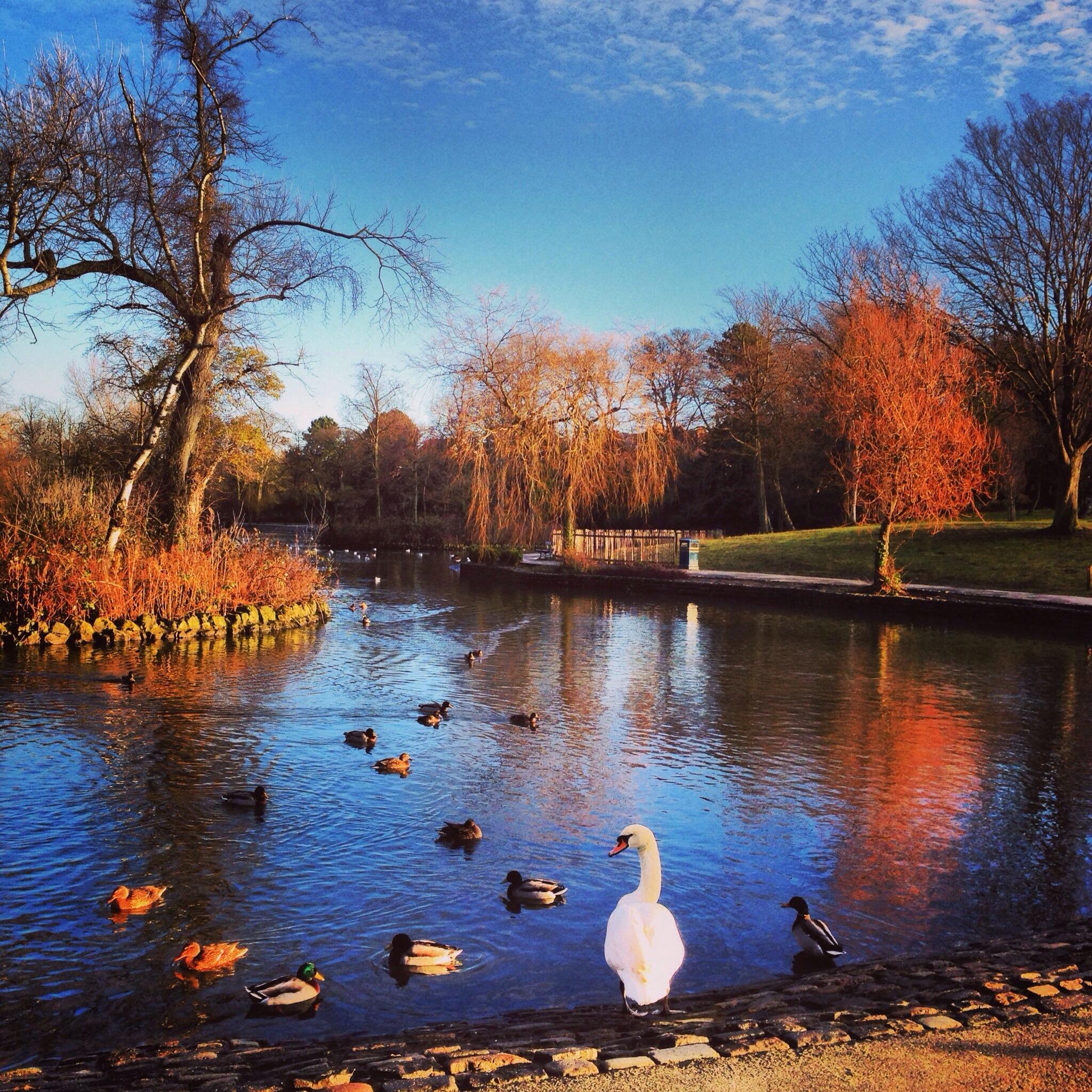 Ropner Park