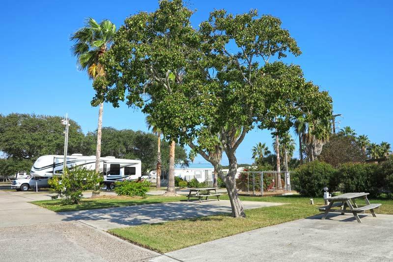 Wilderness Oaks RV Resort