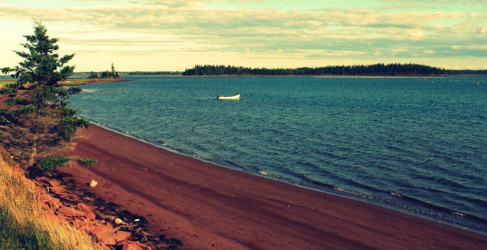 Seal Cove Campground