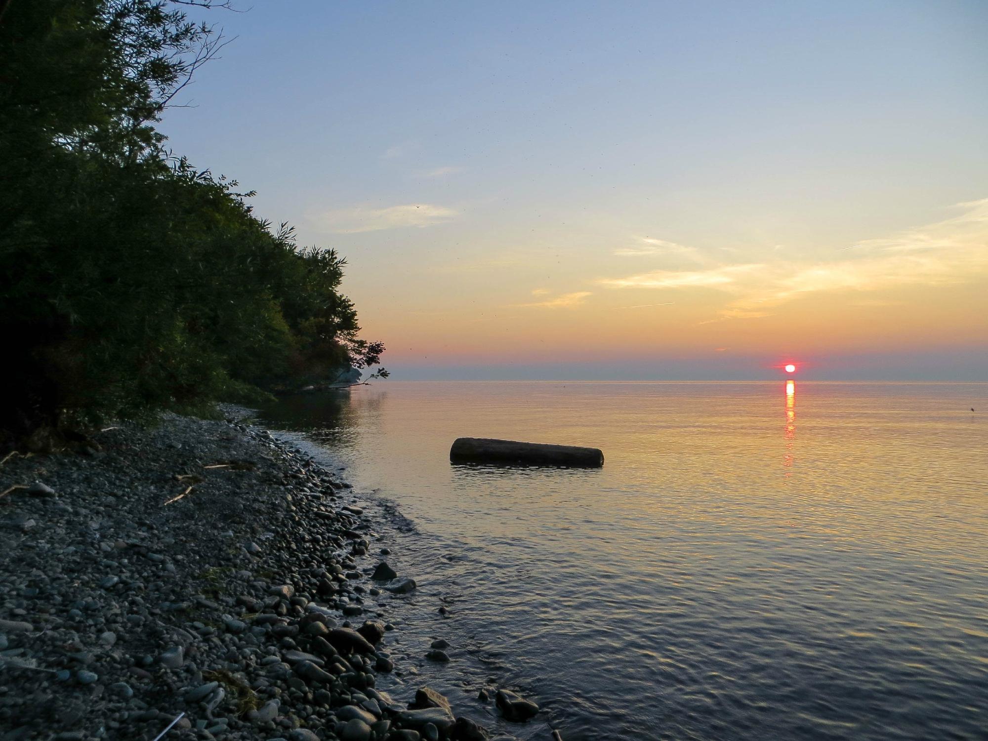 Photo by royalpalmtree