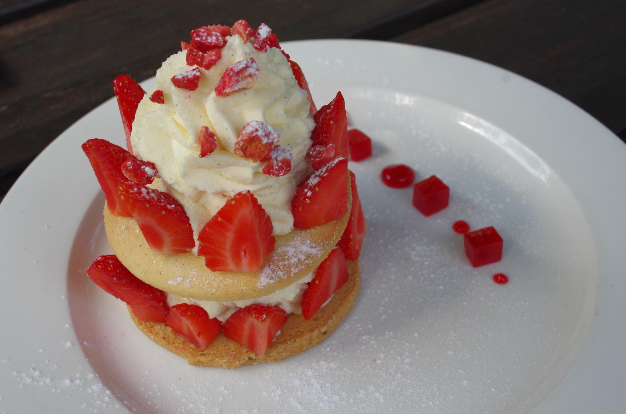 Photo by Millie_Shepter