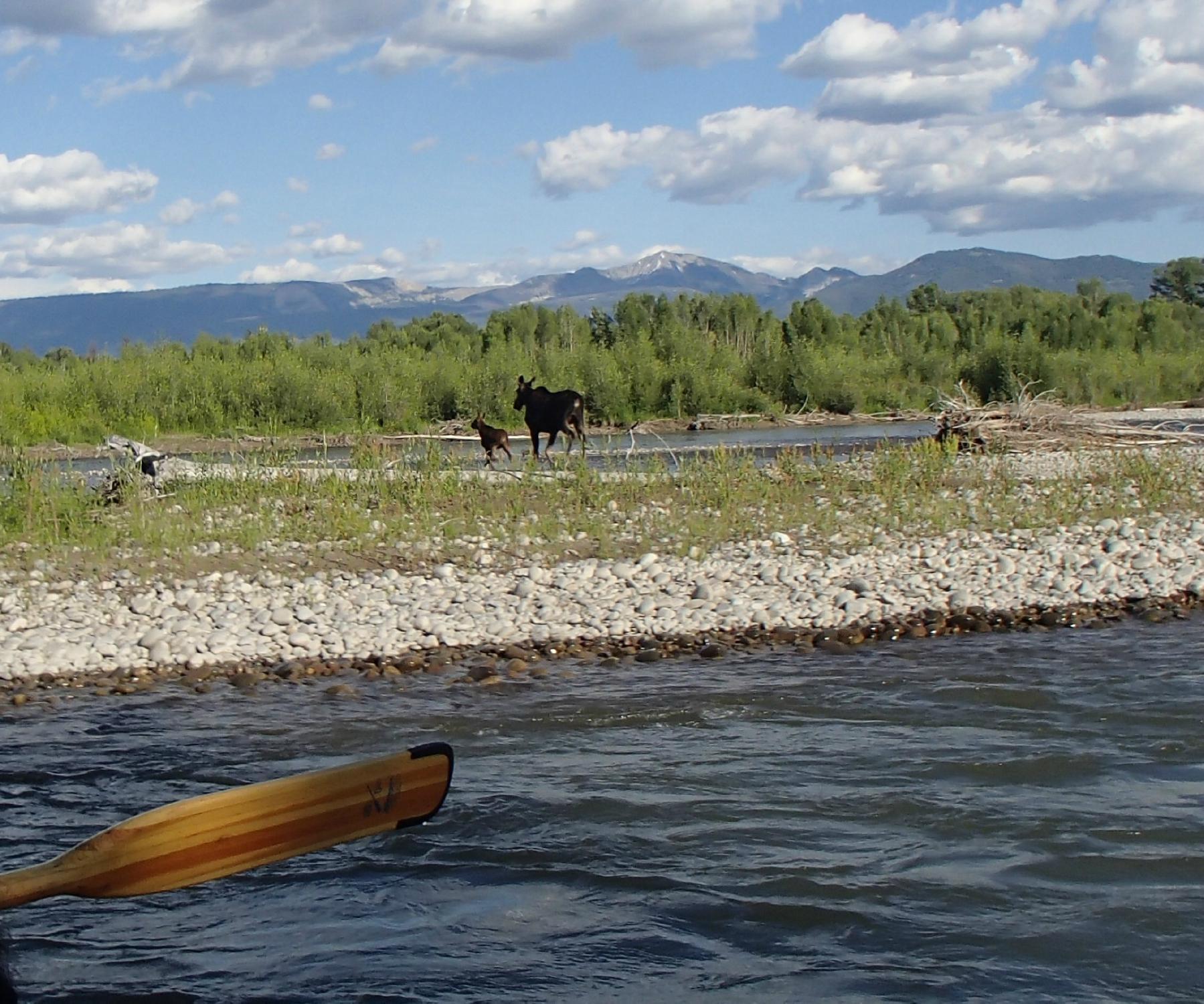 Dornan's Scenic Float Trips