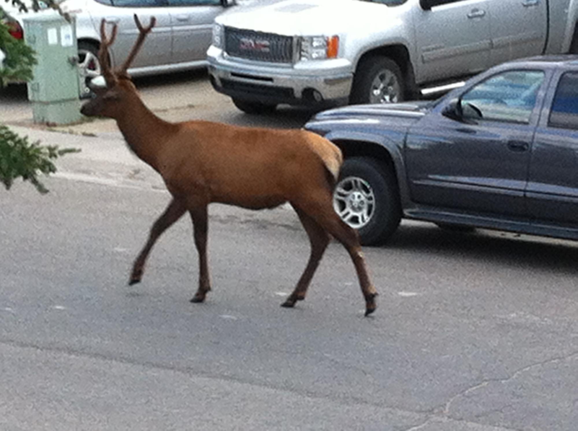 Creekside Accommodation