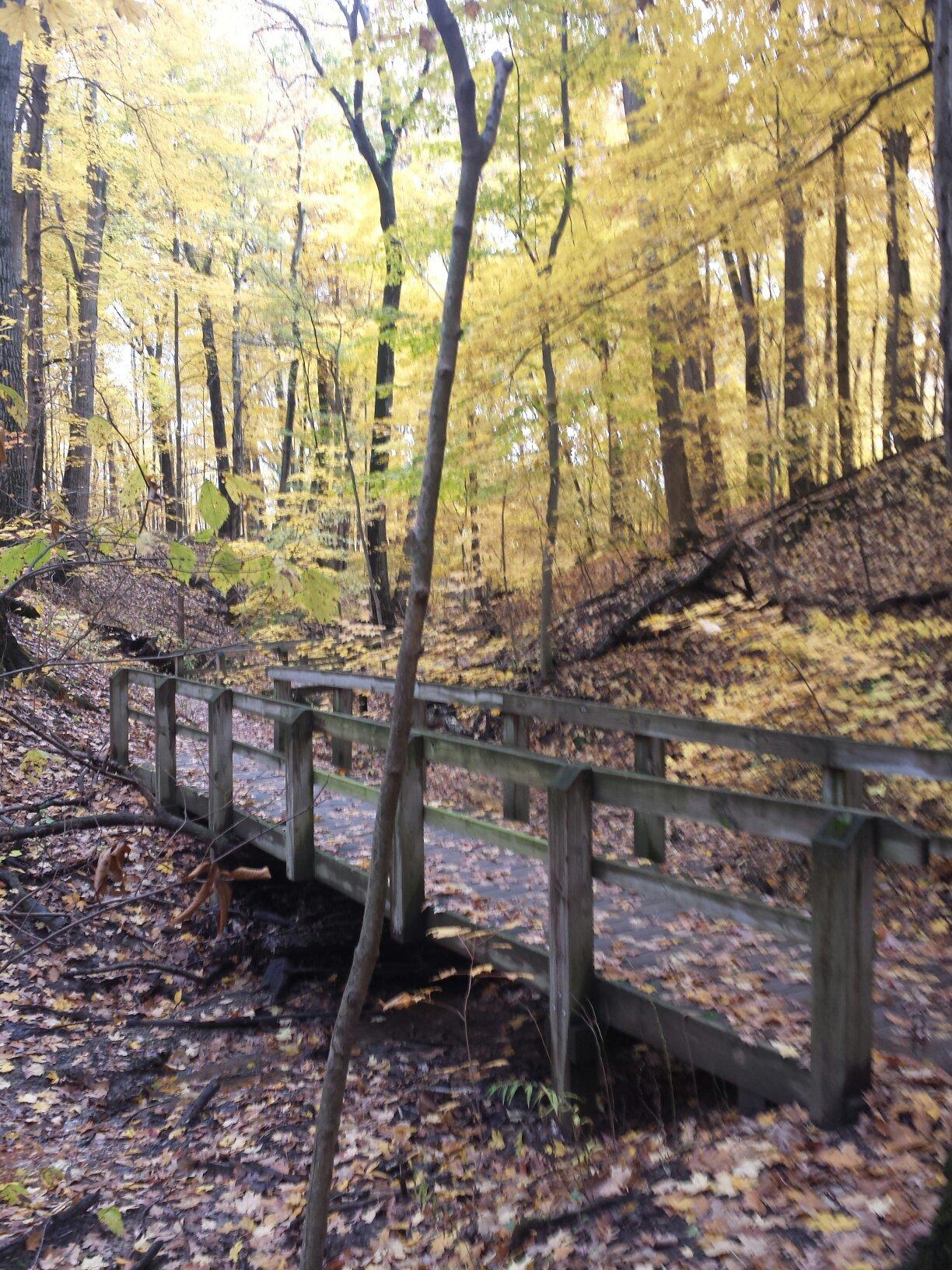 Bailly Homestead & Chellberg Farm