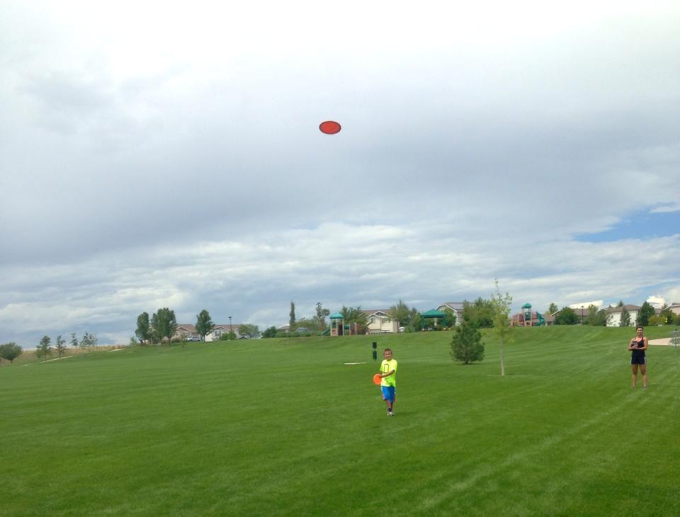 Springvale Park Disc Golf Course