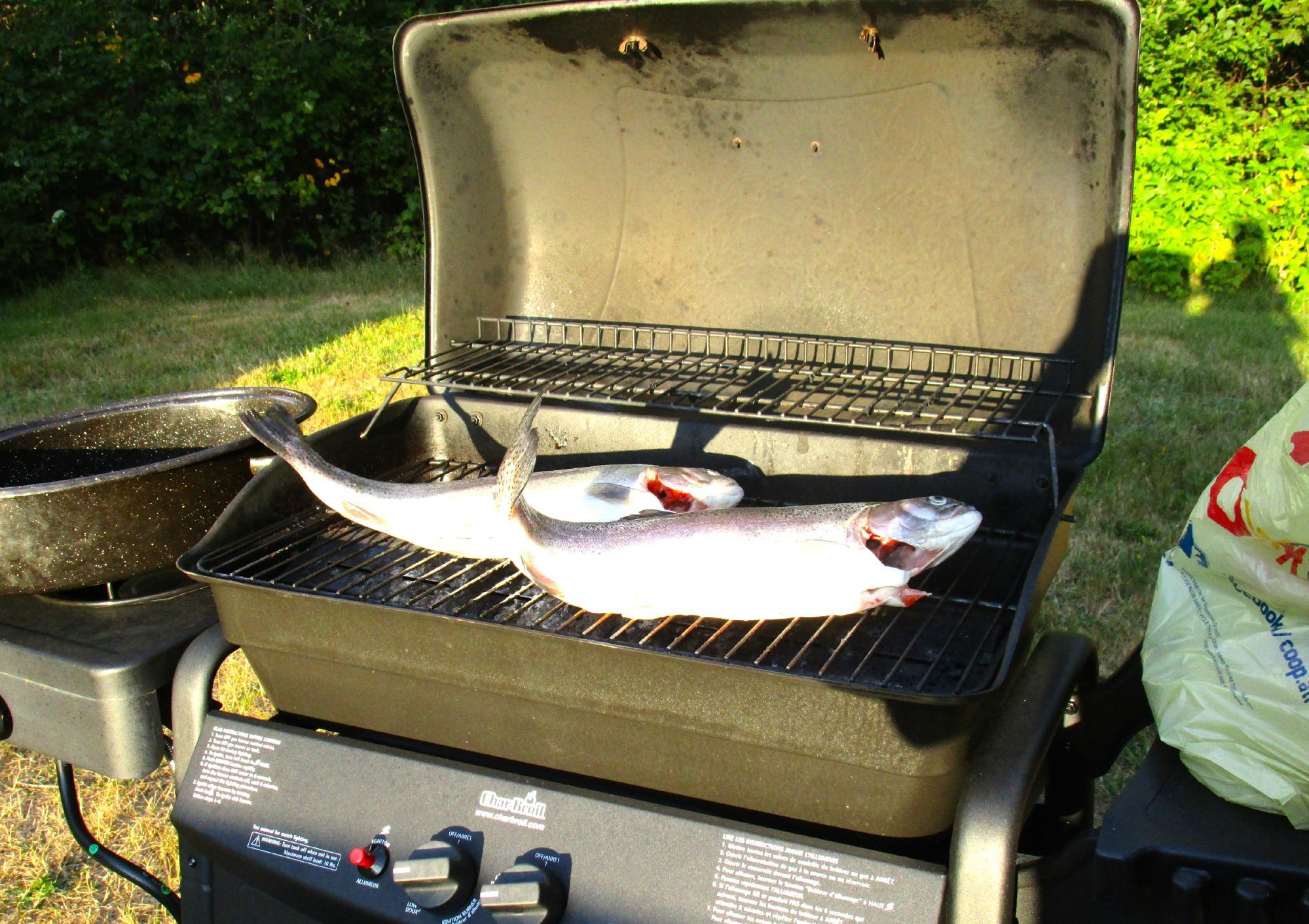 Old Miller Trout Farm