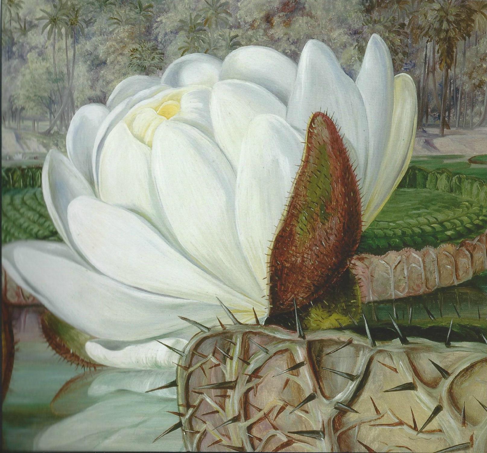 Marianne North Gallery