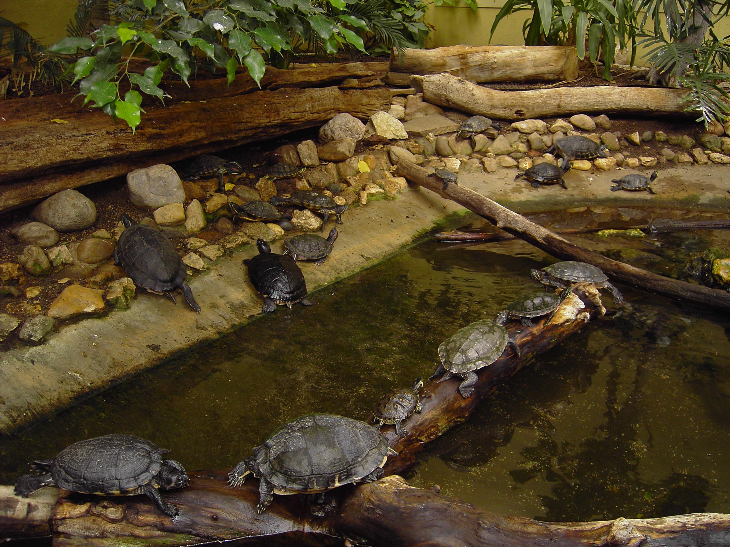 Tiergarten Straubing