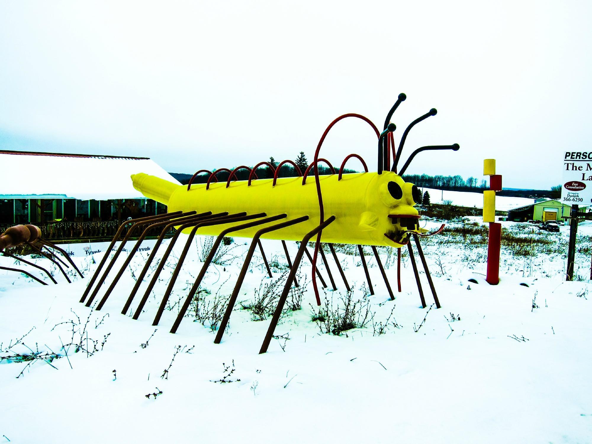 Photo by Superlegalbabe