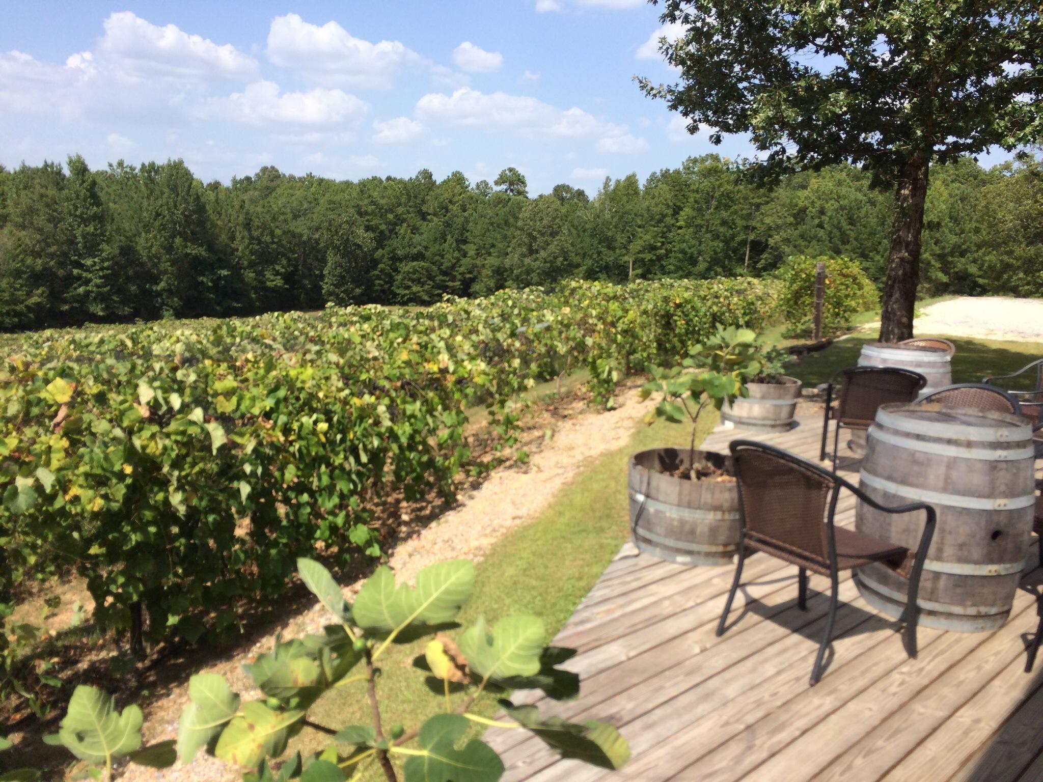 Ozan Vineyard & Winery