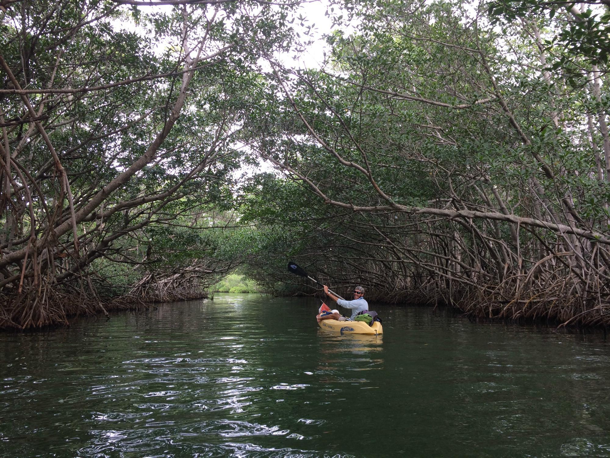 Photo by mindersmouse