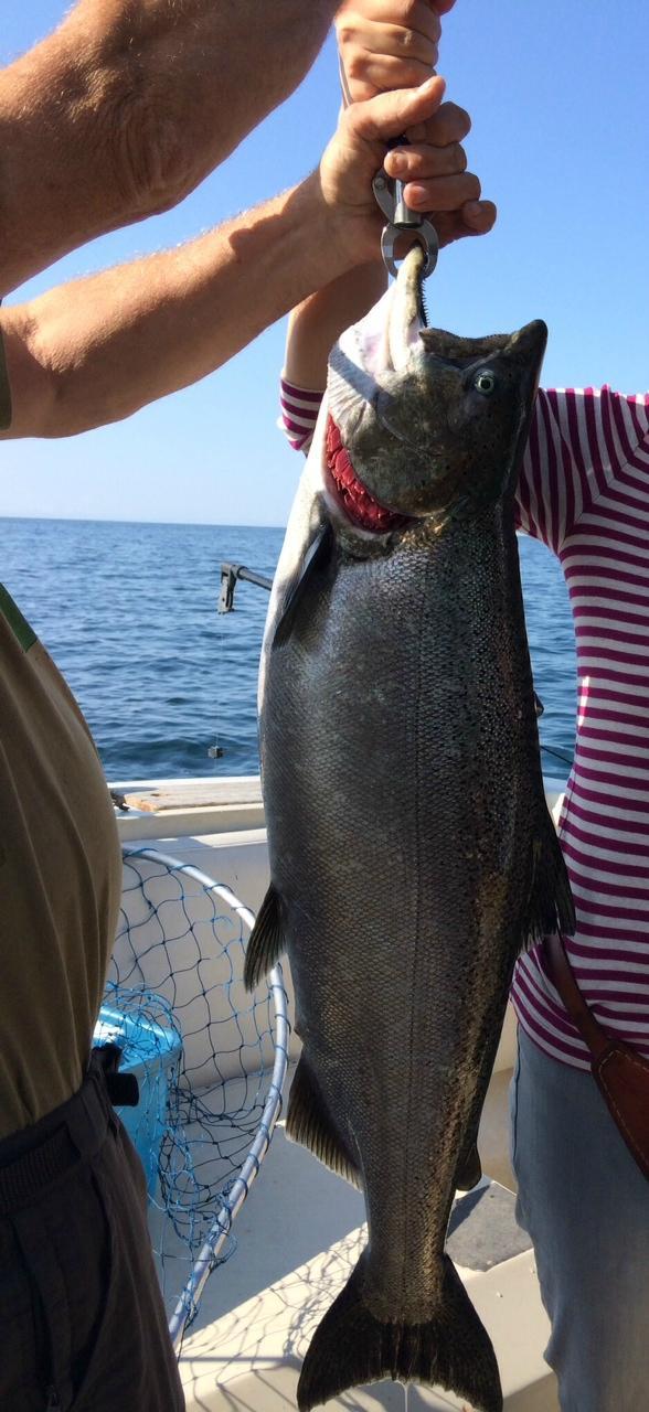 Lake Ontario Fishing Charters