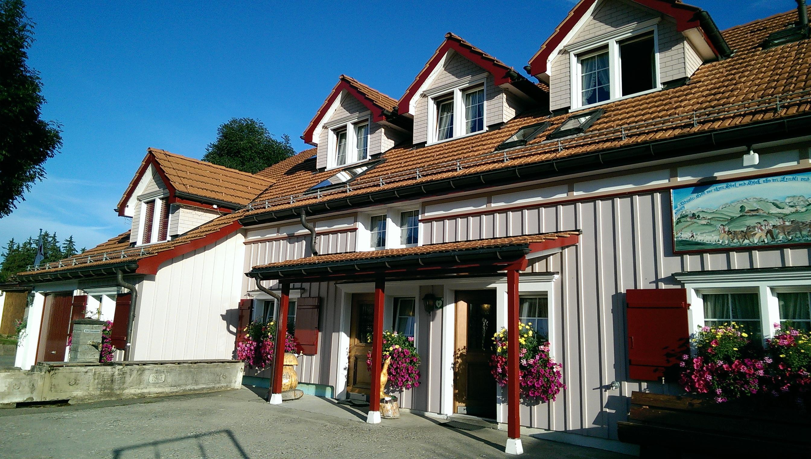 Photo by SuzanneJane