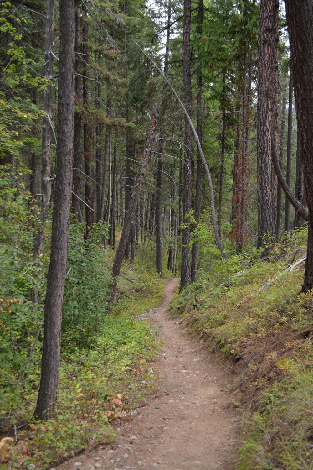 Kimberley Nature Park