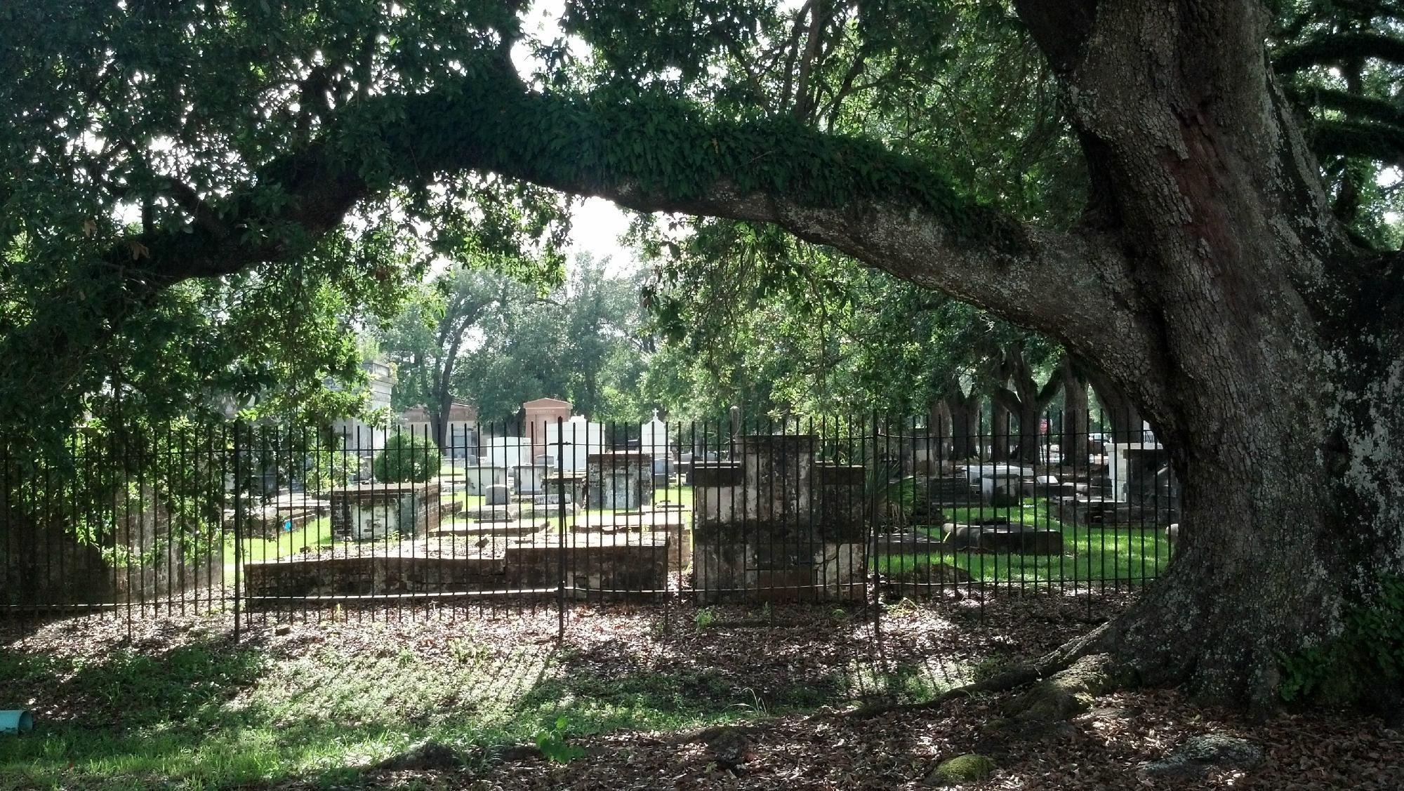 Photo by susanpshaffer