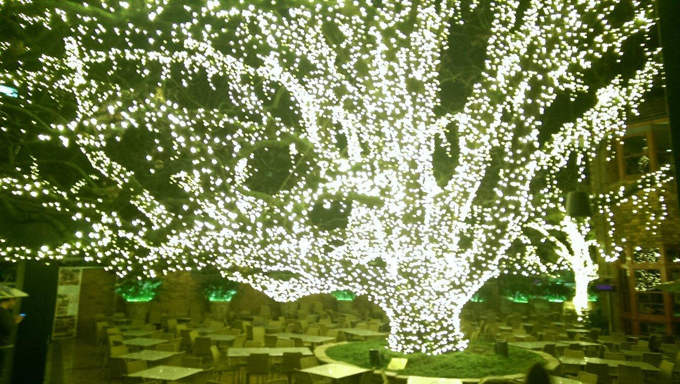 Photo by Champsellysse