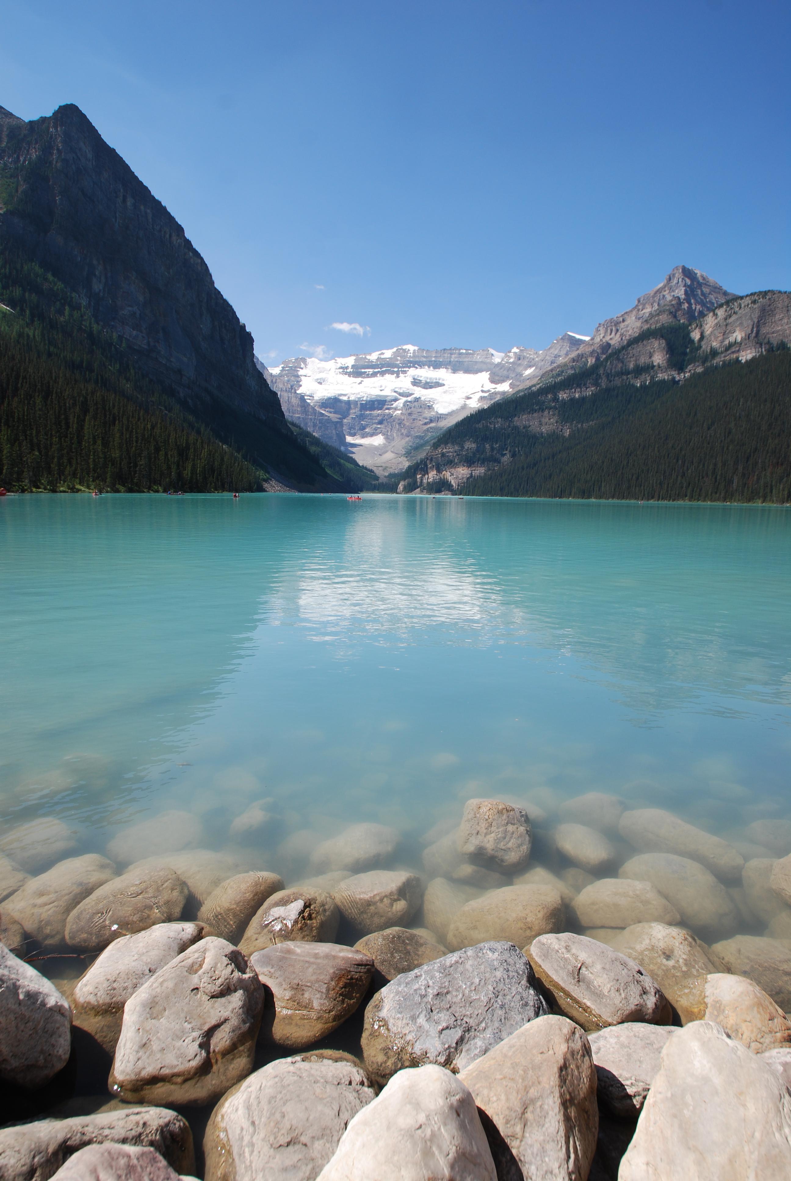 Bear Necessities B&B