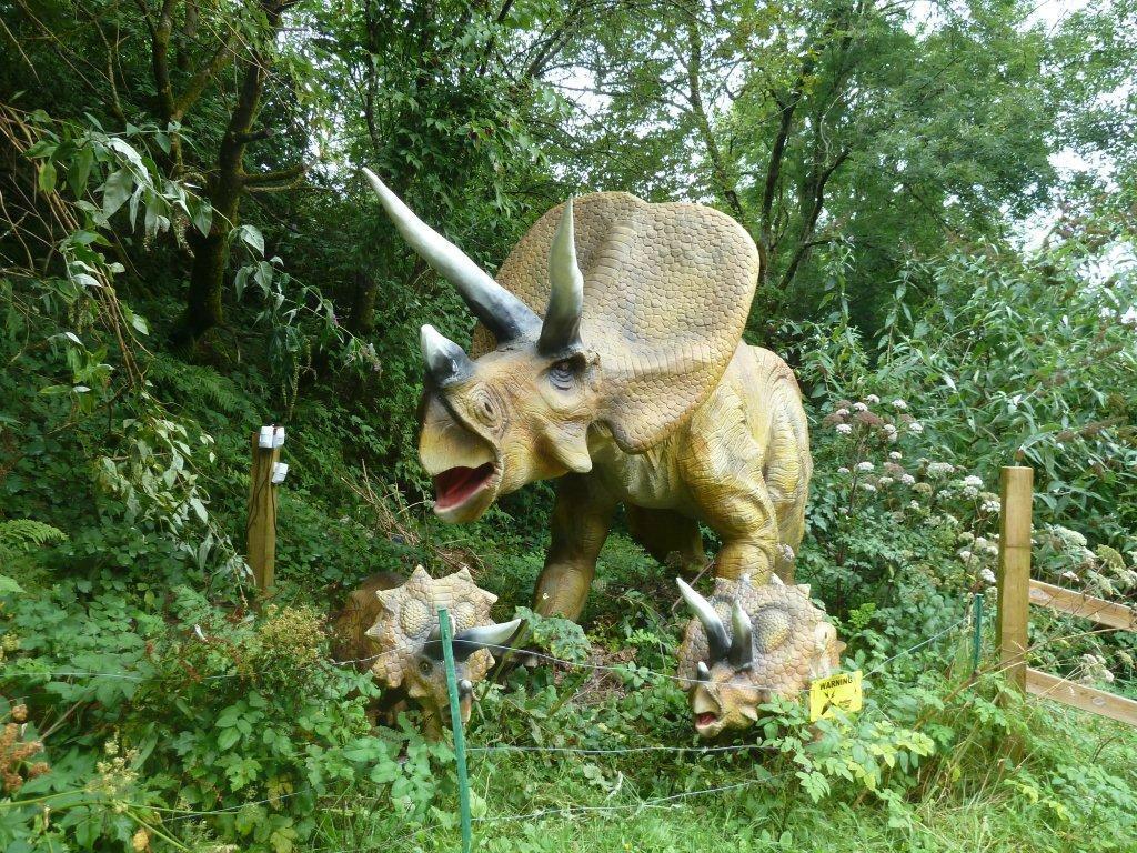 Combe Martin Wildlife and Dinosaur Park
