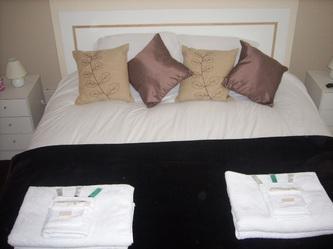 Celtic Springs Guest House