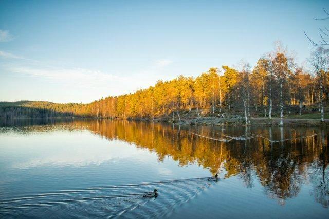 Olympiatoppen Sportshotel