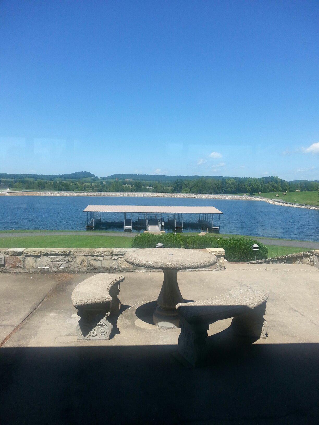 Photo by ladystegall-Henri