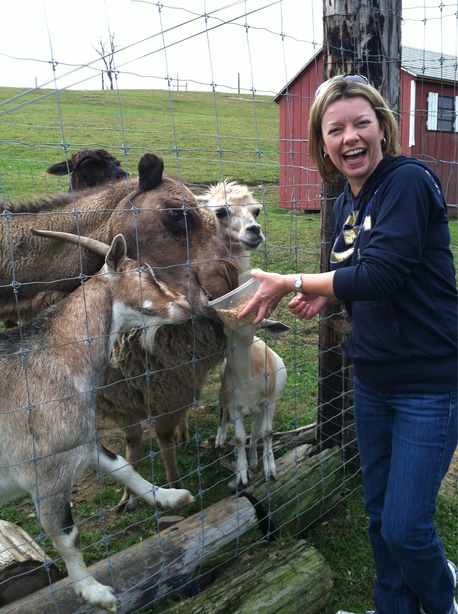 Critter Country Exotic Animals