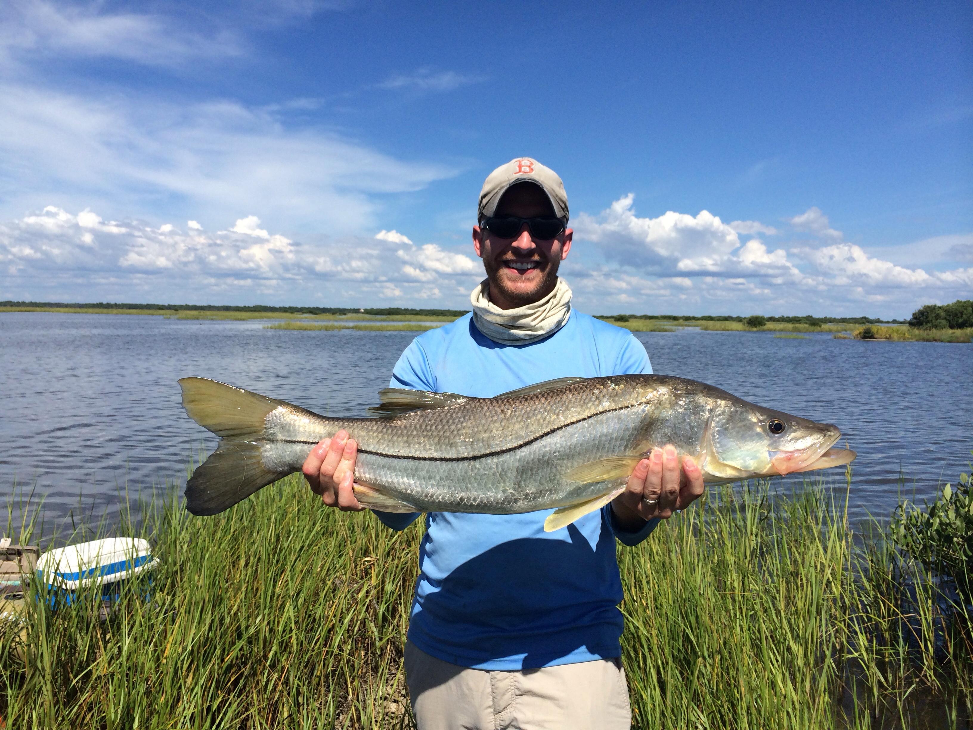 Photo by Donkeysauce