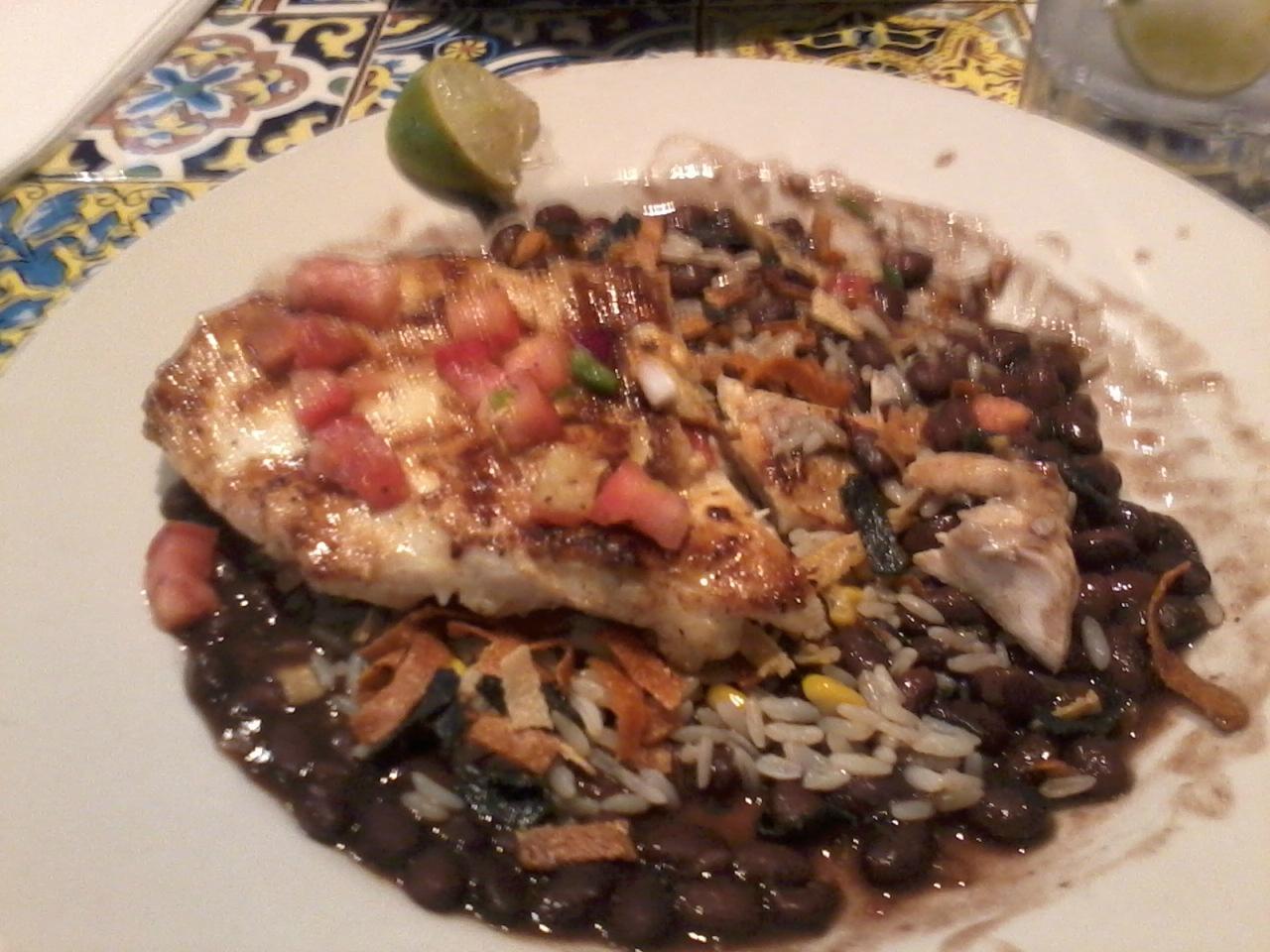 Photo by hollihan256